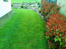 Nad Hřištěm 441 - Horní Planá