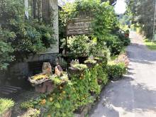 Apartmá U nás v Kocourkově - Lipová-lázně