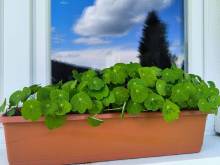 Apartmány Vlasta - Pernink
