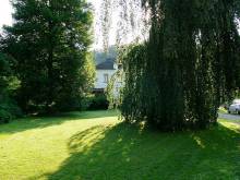 Penzion Továrníkova Vila - Skuhrov nad Bělou