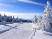 Prázdninový dům FOREST - Kovářská