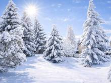 Forest House - Kovářská