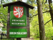 Apartmán pod hradem Valdštejn - Pelešany