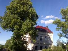 Apartmánový dům Louny Orasice 52 - Orasice