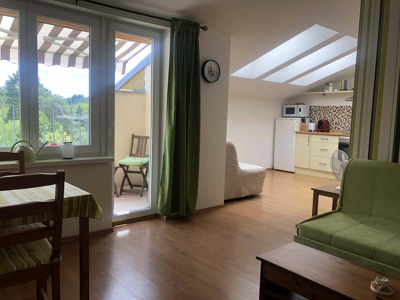 Apartman Slapy - Slapy