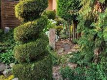 Apartmán Fischerových - Tanvald