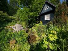 Penzion U Kocoura - Černá Říčka