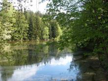 Penzion u rybníka - Javorek - foto 3 Penzion u rybníka - Javorek 3