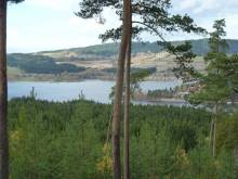 U Vongrejů - Lipno nad Vltavou