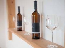 Apartmán Sky - Horní Věstonice