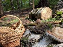 Chalupa Bukovina - Hertvíkovice