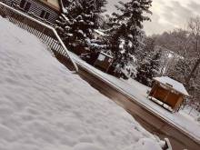 Chalupa Bukovina - Hertvíkovice