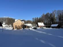 Apartmán U Lesa - Mariánská Hora