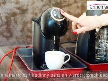 Penzion Annemarie - Pražák