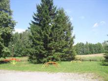 Penzion Na Staré Škole - Sedloňov