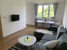 Apartmán u Kunštátského mlýna - Orlické Záhoří