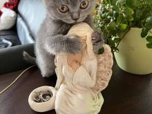 Apartmány U Procházků - Český Krumlov