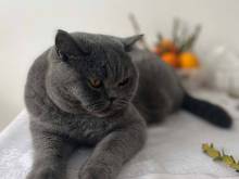 Apartmány U Procházků - Český Krumlov