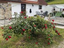 Apartmány U Procházků - Český Krumlov