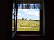 Apartmán POHODA - Nový Přerov
