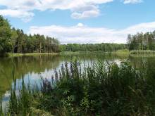 Ubytování Nebíčko - Hamr u Veselí nad Lužnicí