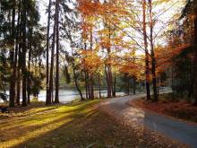 Ubytování Nebíčko - Hamr u Veselí nad Lužnicí