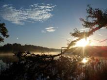 Ubytování Nebíčko - Hamr u Veselí nad Lužnicí