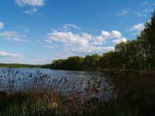 Ubytování Nebíčko - Hamr u Veselí nad Lužnicí