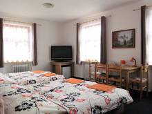 Hotel Starý mlýn - Železný Brod