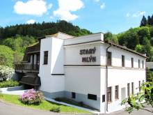 Hotel Starý mlýn - Železný Brod