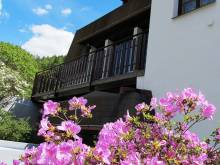 Hotel Starý mlýn - Železný Brod