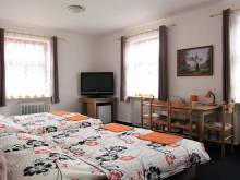 Hotel Starý mlýn - Železný Brod