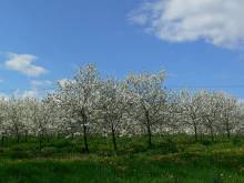 Chalupa Žernovka - Žernov