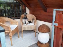 Apartmány pod Hradem - Holštejn