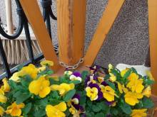 Apartmány pod Hradem - Holštejn