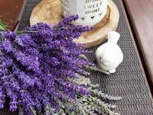 Apartmány pod Hradem - Holštejn