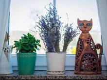 Apartmány U Mluvících kamenů na eko zahradě - Staré Křečany