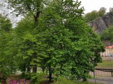 Apartmán Pod Zámkem - Děčín