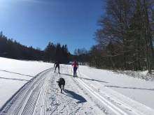 Chalupy pod Pyšnou loukou - Horní Lipová