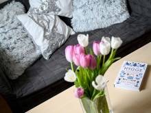 Apartmán pod Šerákem - Ramzová
