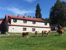 Ubytování U Gerešů - Zadov