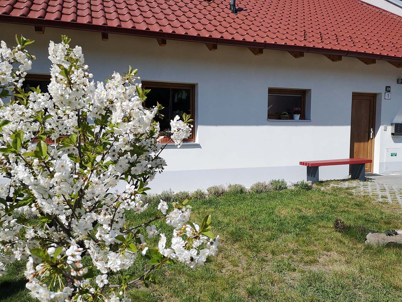 Privát Pod mandlemi - Hustopeče