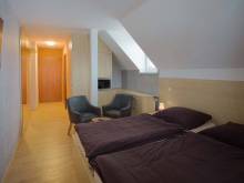 Chalupa U Martina - Orlické Záhoří