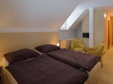 Chalupa U Martina - Orlické Záhoří