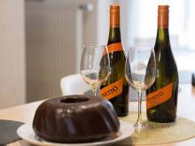 Chalupa U Martina - Orlické Záhoří