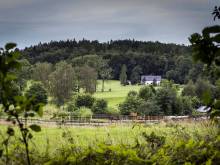 Trapani house & camp - Růžová