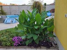 Pension u Rabatů - Dolní Dunajovice