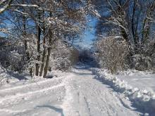 LIPTOVSKÁ DREVENICA - Liptovský Mikuláš