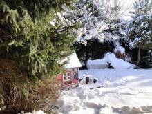 LIPTOVSKÁ DREVENICA - Liptovský Mikuláš