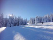 Dva apartmány se zahradou - Suchá Rudná